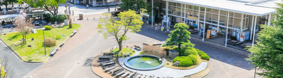 821BF8DA53021DAE62576328954_B3379AD1_FC15