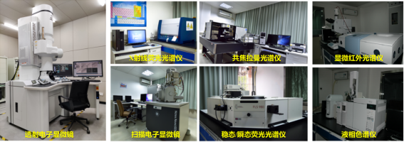 8CC28BA6F106133516CAE6846DF_E387E433_6EFD6