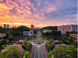 6F27C533FD3334A0F6E0FBC4451_4B44BCA7_356A9