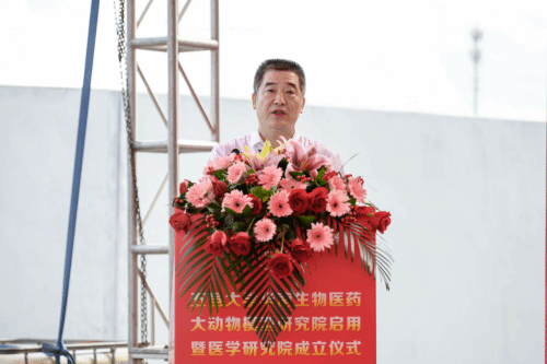 C9999D3A0E3A6B56E353C93CF05_C9134370_E47F