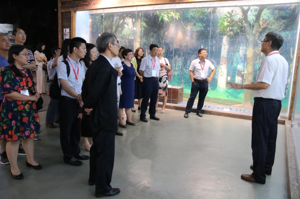 9576F72022AD52E63C3AA3CC97E_F0213764_1650D 9576F72022AD52E63C3AA3CC97E_F0213764_1650D