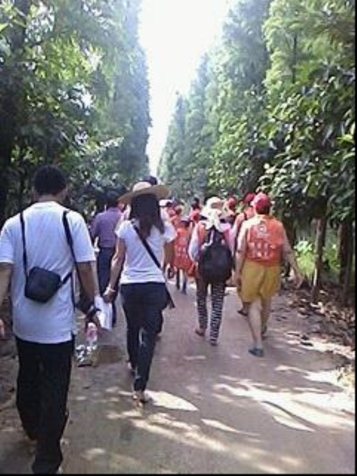 Ҽ������app����(�й�)�ٷ�������