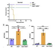 AF431C83485709CEF0674D8D4BC_2464533D_202D3