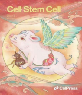 6E0D8B8689770A288F5E4564ED2_C5727A32_52CCF