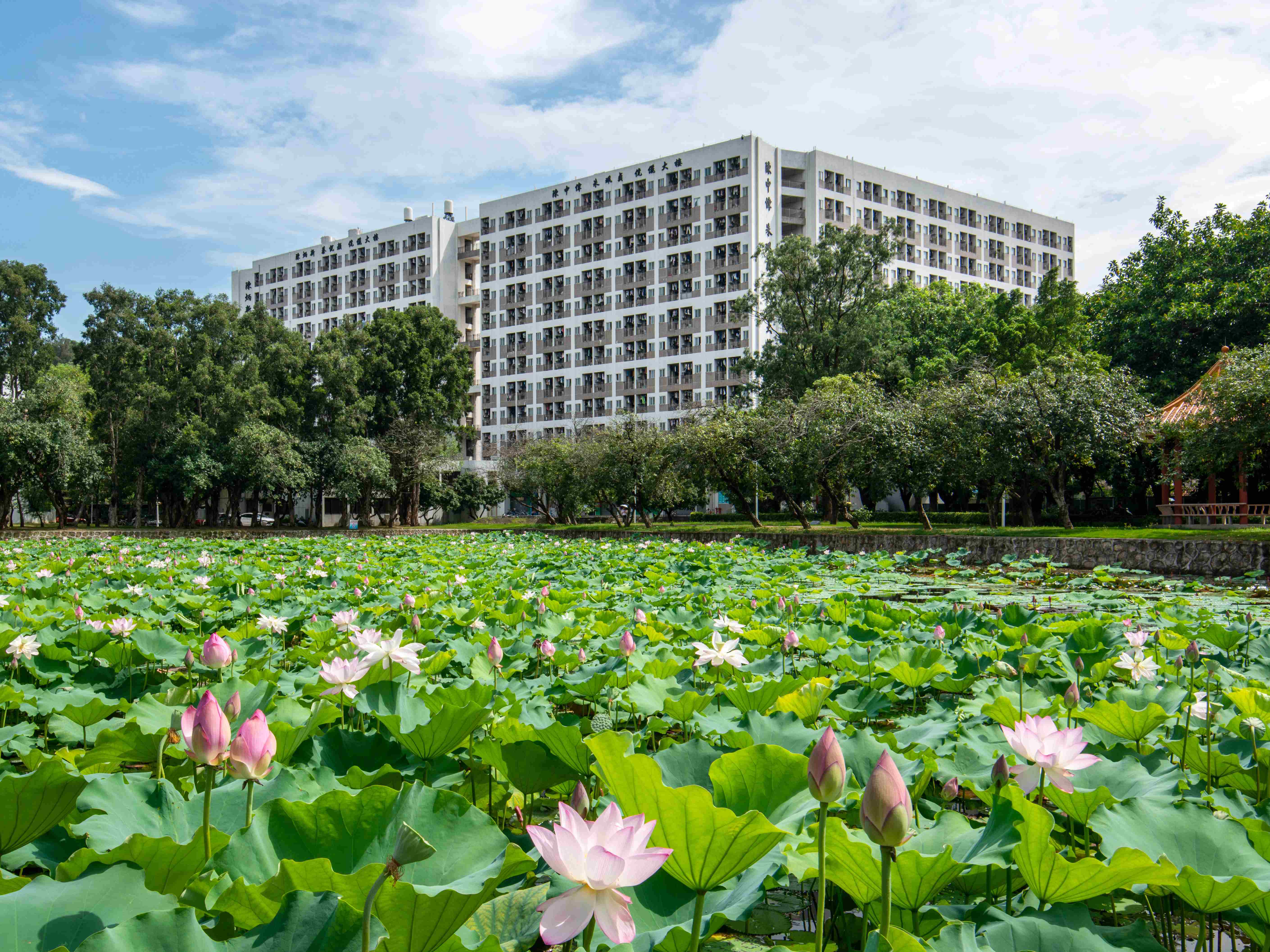 Ҽ������app����(�й�)�ٷ�������