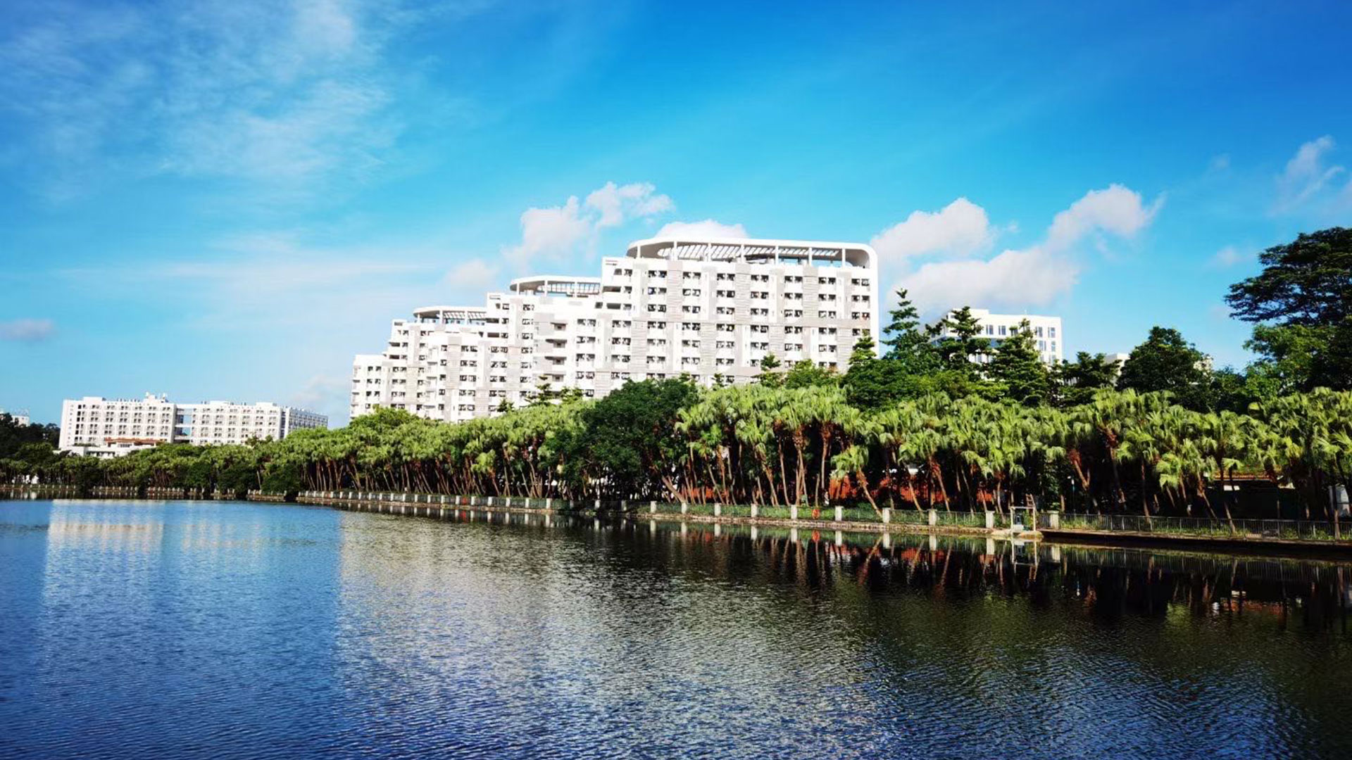 Ҽ������app����(�й�)�ٷ�������